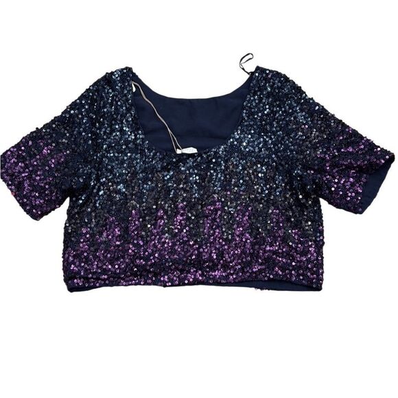 NWT Anthropologie Let Me Be Ombre Cropped Sequined Blouse Medium - Picture 7 of 9